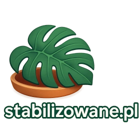 stabilizowane.pl
